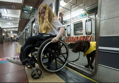 Service Animals and the New York Subway